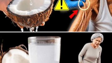 From Diet to Skincare: 9 Natural Collagen Boosters for Younger Skin