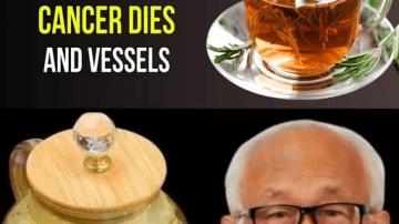 Rosemary Tea: The Everyday Herb That May Quietly Support Your Body’s Natural Defenses Against Common Age-Related Concerns