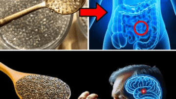 11 Powerful Foods That May Help Protect Against Cancer