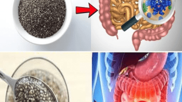 11 Powerful Foods That May Help Protect Against Cancer