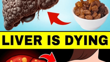 8 Early Symptoms of Heart Valve Disease You Can’t Afford to Ignore