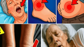 5 Natural Ways to Support Women’s Wellness