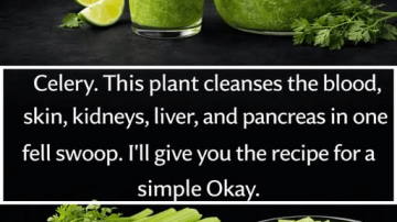 Garlic Mustard: The Weed That’s Actually a Superfood