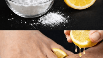 Pumpkin Power: Nature’s Forgotten Medicine Revealed