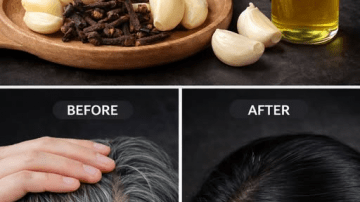 Don’t Ever Throw Away Eggshells Again – You Won’t Believe How Useful They Are!