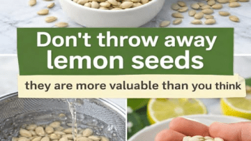 The Hidden Power of Aidan Fruit Soaked Overnight