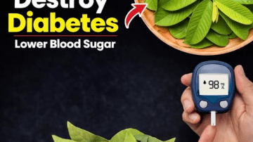 Descubre el Poder Oculto de la Mimosa Pudica: El Tesoro Natural que Podría Transformar tu Bienestar