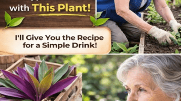 10 Foods That May Be Sabotaging Your Heart: Everyday Choices You Should Rethink Today