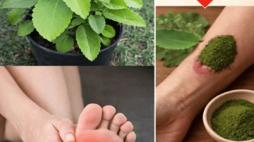 All in 1 Master Tonic Shots Fire Cider W/ Apple Cider Vinegar