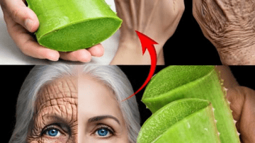 Discover the Herbal Spray That May Help Stop Hair Loss and Spark New Growth