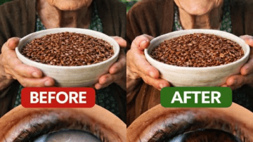 Plants Growing Quietly in Your Garden That Could Support Your Health in Surprising Ways