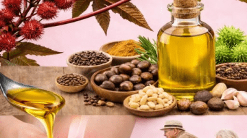 The Plant That Helps People Visit the Eye Doctor Less: Support Clear Vision Naturally