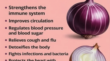 Seniors Over 60: How to Survive a Brain Stroke Alone – 7 Life-Saving Tips Every Senior Must Know