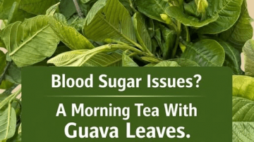 Seniors Over 60: How to Survive a Brain Stroke Alone – 7 Life-Saving Tips Every Senior Must Know