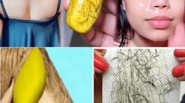 The Cancer Destroying LEAF That Doctors Aren’t Telling You About! Barbara O’Neill SECRET Discover! 