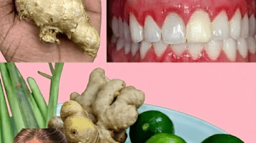 The Ancient Liquid Gold: Is This Forgotten Botanical Secret the Missing Link to Your Modern Wellness?