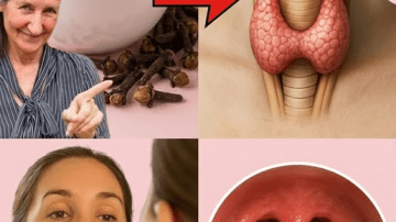 The Ancient Liquid Gold: Is This Forgotten Botanical Secret the Missing Link to Your Modern Wellness?