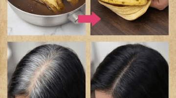 The Little-Known Asian Leaf That’s Quietly Turning Heads in Natural Health Circles