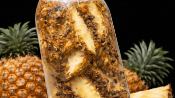 Discover the Ancient Spice Powerhouse in Your Kitchen: Turmeric, Ginger, Garlic, and Clove for Natural Wellness Support