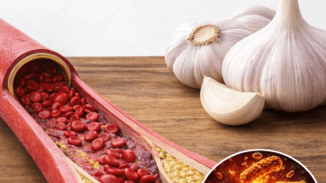 Stronger Than Eggs? The Truth About Soybeans for Building Muscle After 75