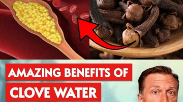 The Ancient Elixir Doctors Don’t Talk About: A Gentle Natural Blend to Support Blood Sugar, Circulation & Heart Health