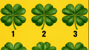 Urgent Health Recall: Over 600,000 Bottles of Ramipril Blood Pressure Medication Recalled Nationwide