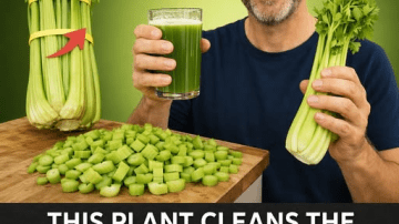 These 5 Breakfasts May Support Stem Cell Regeneration and Help You Age Stronger