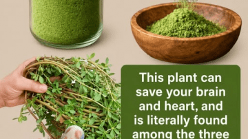 Drink This Daily to Heal Damaged Nerves Fast