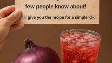 7 Everyday Snacks That May Support Stem Cell Health, Cellular Balance, and Metabolic Wellness