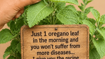 Add This Vibrant Juice to Your Morning Routine to Support Healthy Circulation and Natural Energy