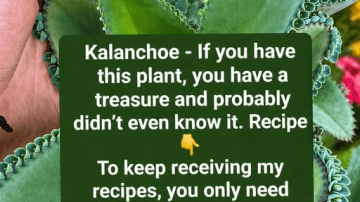 Support Your Kidneys with These 5 Detoxifying Foods