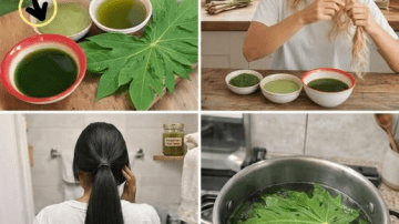 Eat Like Japan’s Oldest Doctors to Stay Young