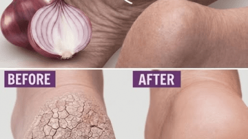 Eat Like Japan’s Oldest Doctors to Stay Young