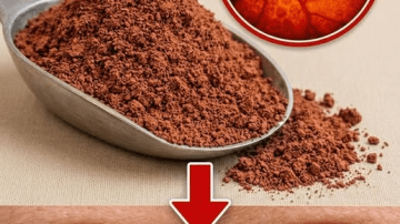 Eat Like Japan’s Oldest Doctors to Stay Young