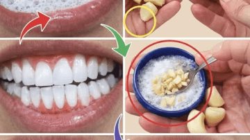 Eat Like Japan’s Oldest Doctors to Stay Young