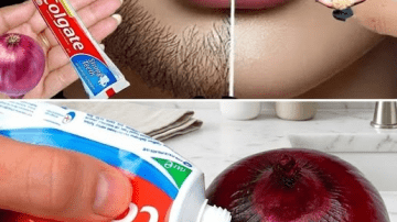 Beyond Beauty: The Power and Uses of Edible Magnolia Flowers