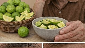 Beyond Beauty: The Power and Uses of Edible Magnolia Flowers