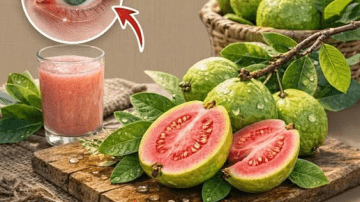 Beyond Beauty: The Power and Uses of Edible Magnolia Flowers