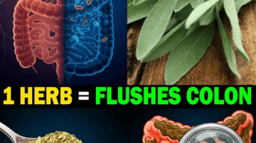 Lime, Garlic, Turmeric & Ginger: The Ultimate Natural Booster for Men’s Health