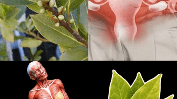 Lime, Garlic, Turmeric & Ginger: The Ultimate Natural Booster for Men’s Health