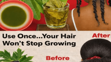 The Unbelievable Truth About Grandma’s Gray Hair Secret (And Why Salons Are Panicking)