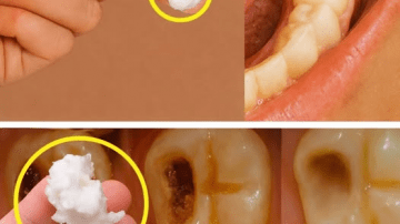 Every Man Should Know This: A Natural Way to Support Prostate Health