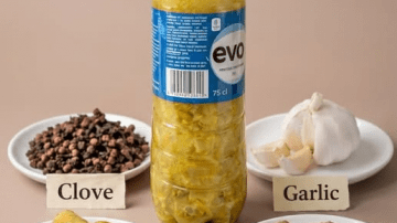 Did You Know 87% of Adults Over 35 Wake Up Feeling Their Skin Is Tighter, Drier, and More Inflamed Than Ever—And One Simple Plant Sitting on Your Windowsill Could Flip the Script Overnight?