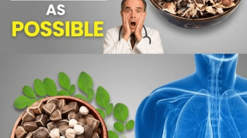 12 Silent Symptoms of High Creatinine Your Doctor Might Miss Until It’s Serious
