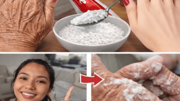 10 Natural Foods You Must Eat Every Single Day After 50 to Protect Your Kidneys, Heart, and Energy for Decades