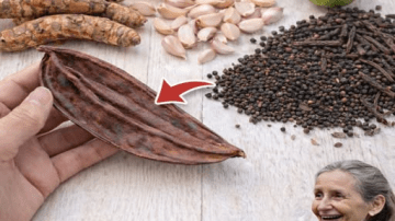 10 Natural Foods You Must Eat Every Single Day After 50 to Protect Your Kidneys, Heart, and Energy for Decades