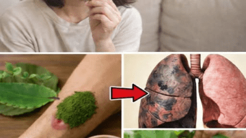 Simple Natural Tips to Keep Your Teeth Healthy – Avoid Extra Dental Visits with These 5 Natural Cavity Remedies