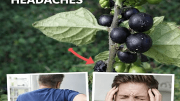 White Rice May Not Spike Blood Sugar as Much If You Do This One Thing Before Eating – Grandpa & Grandma’s Secret