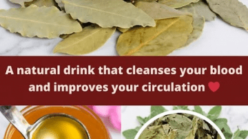 Onion and Onion Skins: A Gentle Natural Approach to Prostate and Bladder Wellness