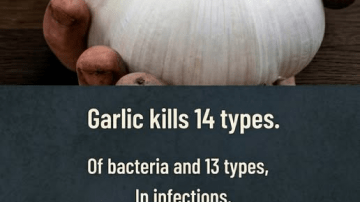 Onion and Onion Skins: A Gentle Natural Approach to Prostate and Bladder Wellness